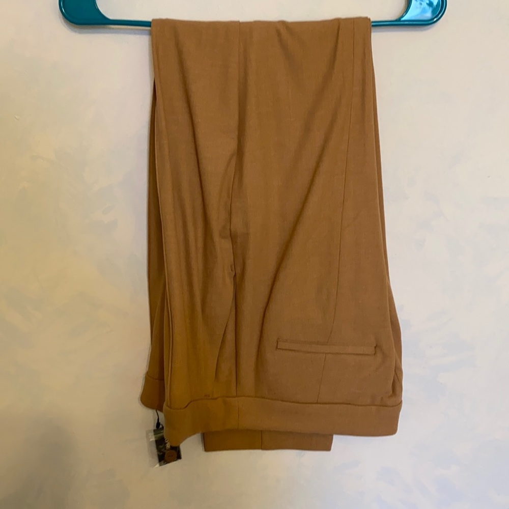 Express high waisted ankle pant 10L